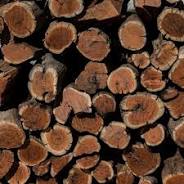 Kameeldoring Hout Rustenburg Braai